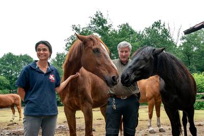 'We krijgen berichten van zieke paarden uit het hele land'