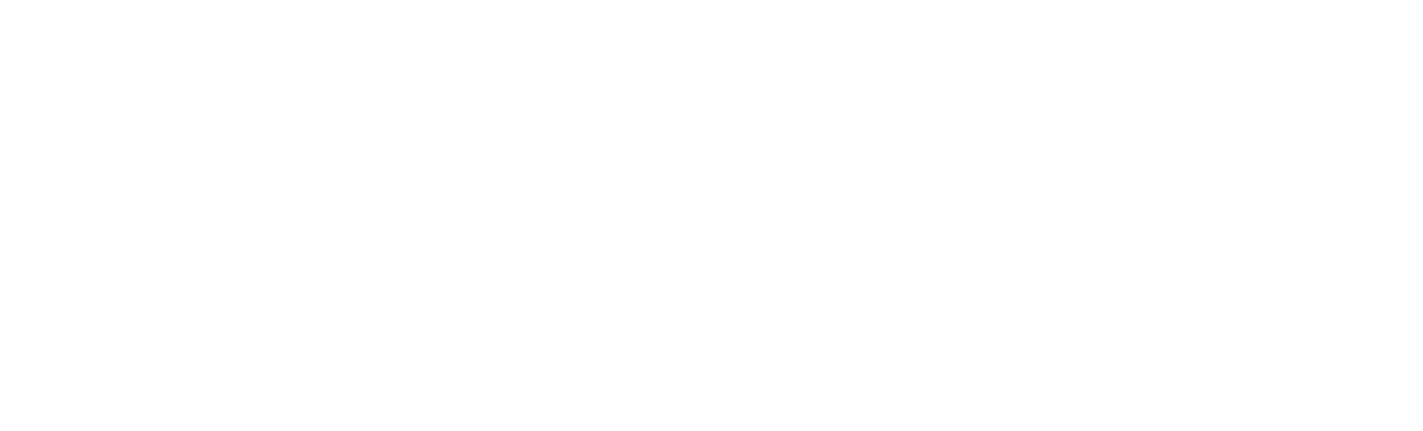 Le gendarme à New York