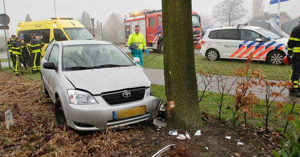 Man rijdt rechtdoor over rotonde en klapt tegen boom in Diessen