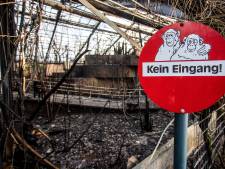 Incendie au zoo de Krefeld: une mère et ses deux filles se dénoncent