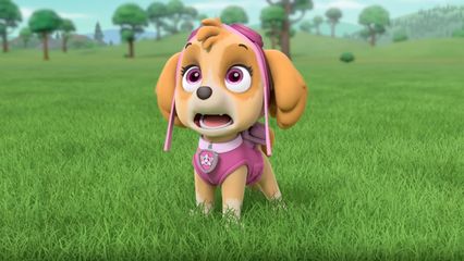 3. Pups redden de Voetbalwedstrijd & Pups redden een Gelukshalsband