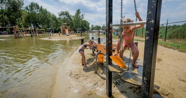 Blauwalg? Camping in Reutum houdt water van zwemvijver brandschoon