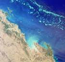 Hittegolven onder water catastrofaal voor koraal