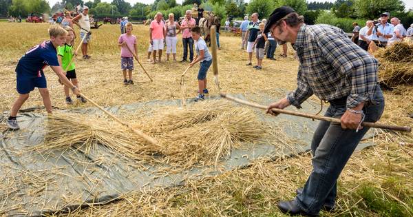 Proeven van het boerenleven bij Oogstfeest in Nijnsel - Eindhovens Dagblad