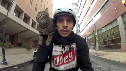 10. Pretty Cool Pets