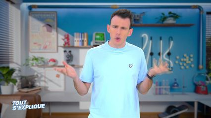 15. Microbiote : un second cerveau dans votre intestin