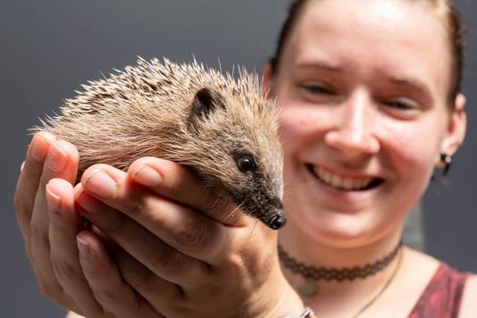 Emy Ridderbos met een egel.