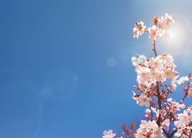  Komend weekend 17 graden voorspeld