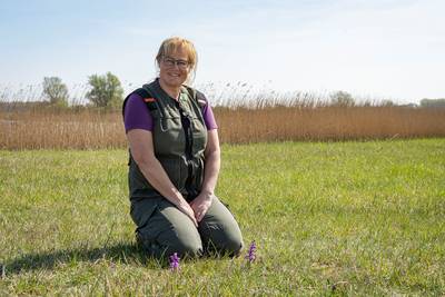 Gekke harlekijn gaat als een dolle op schrale Zeeuwse grond
