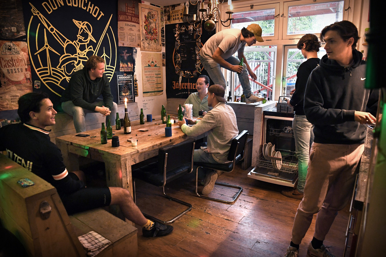 Kan ik thuis werken met een pasgeboren baby