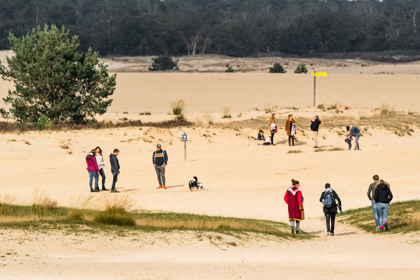 ‘Gigantisch’ druk in Loonse en Drunense Duinen en Oisterwijkse bos ‘Hou rekening met overvolle