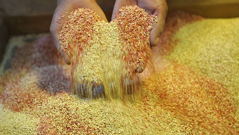 diarree van quinoa