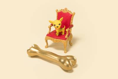 Dit kost het je om een huisdier te hebben