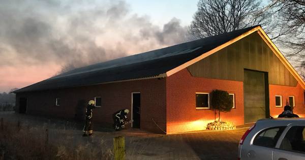 Eigenaar schuur Fleringen: 'Meteen met brandblusser er op af gegaan' - Tubantia