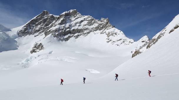Steve Backshall vs the Vertical Mile
