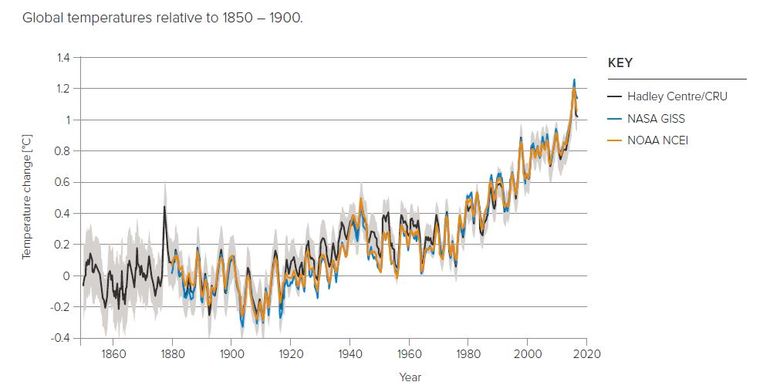 null Beeld Royal Society