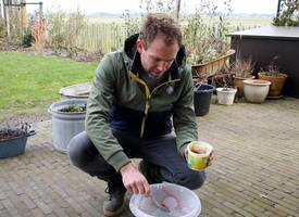Zó verwijdert boer Tom groene aanslag op zijn terras