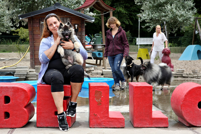 Annemiek Mans opent een hondendagopvang. Foto Sanne Donders