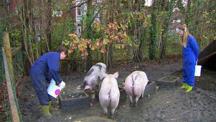 Aflevering 14