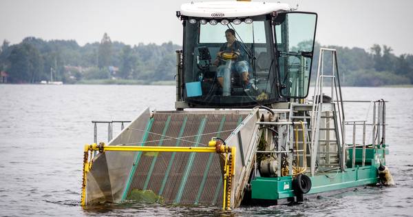 Onderwatermaaien in de Belterwijde: 'Weg met dat onkruid!' - De Stentor