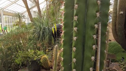 28. Le plus beau jardin de Belgique se prépare au printemps
