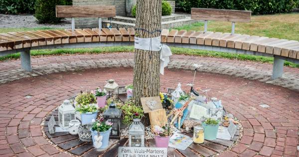 Neerkant uitgenodigd bij première MH17-film | De Peel - Eindhovens Dagblad