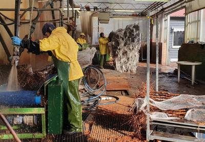 Teteringse bomenwasserij vreest gevolgen coronavirus