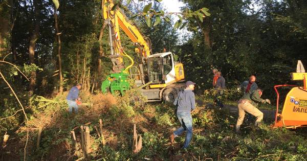 Inwoners Gellicum creëren picknickplaats aan de Linge