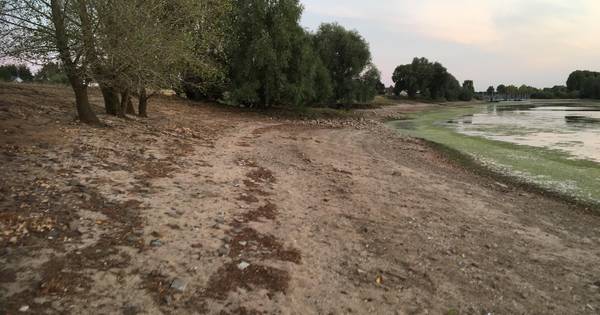 Waterscouts kunnen niet te water door plantengroei