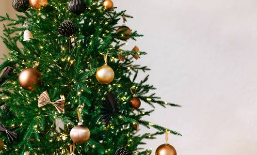 Zo lang mogelijk van je kerstboom genieten: zo doe je dat