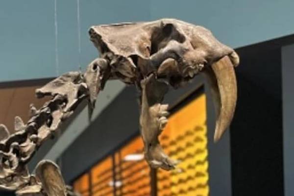 Lost Beasts Unearthed
