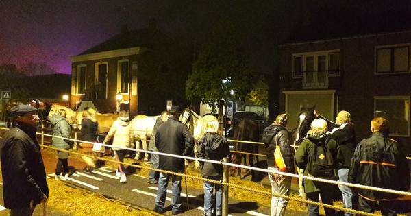 Paardenmarkt Hedel: organisatie past geconstateerde misstanden aan | Bommelerwaard - BD.nl