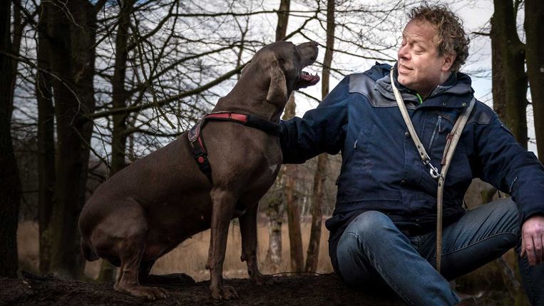 Trillingen brachten scheuren in zijn huis, maar ook in het vertrouwen van Gerben Blaauw - Trouw