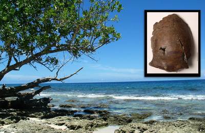 Schedeldeel blijkt van 's werelds oudste tsunami-slachtoffer