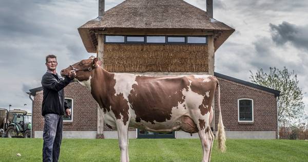 Paris 6, de Doutzen van Beers