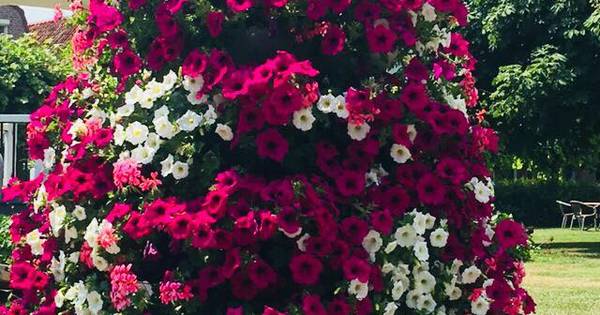 Bloemen voor Ouwerkerk