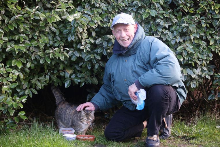 Kattenfluisteraar belgië